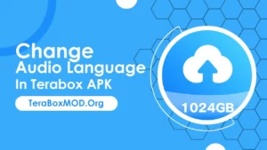 Change Audio Language In Terabox APK : A Complete Guide