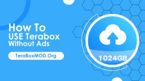 How to Use Terabox without Ads?