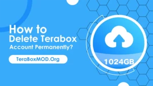How to Delete Terabox Account Permanently?