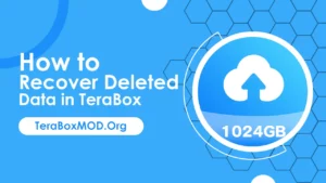 Recover Deleted Data In Terabox
