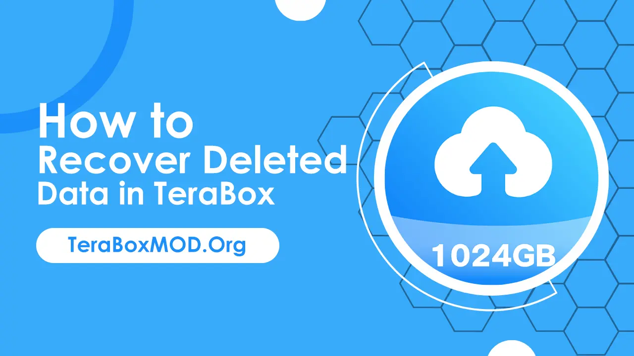 Recover Deleted Data In Terabox